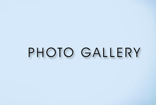 gallery-banner