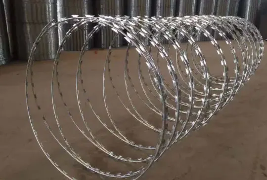 Stainless-Steel-Concertina-Wire