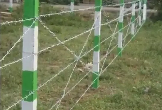 Wire-Fencing